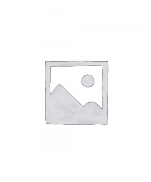 Uncategorized